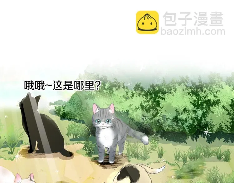 第13话 吸猫体质的大汉 第62页