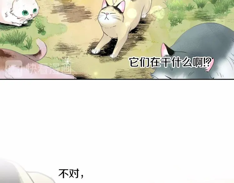 第13话 吸猫体质的大汉 第63页