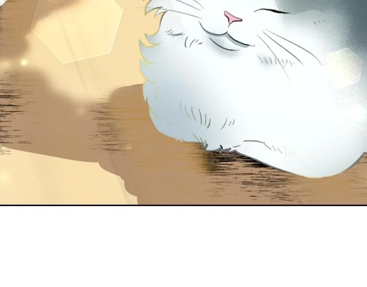 第13话 吸猫体质的大汉 第65页