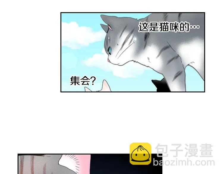 第13话 吸猫体质的大汉 第66页