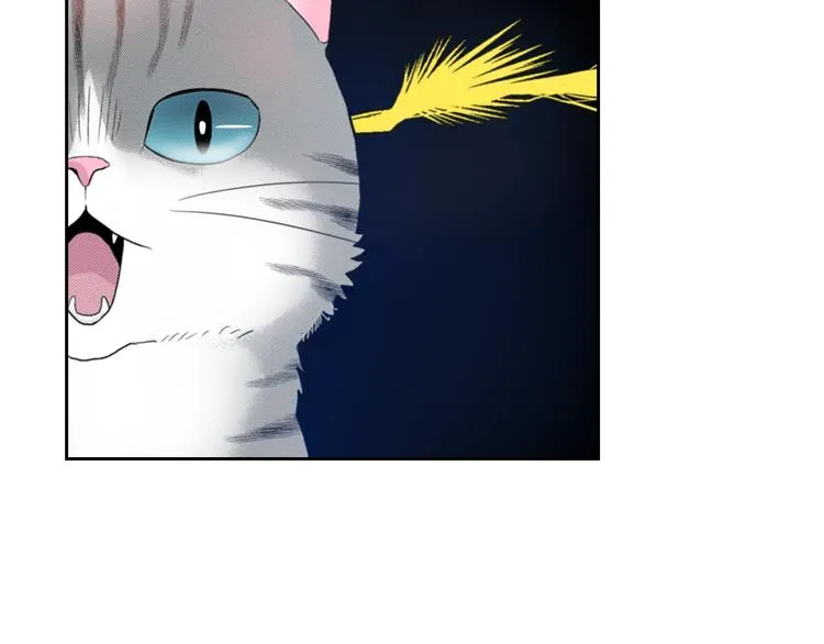 第13话 吸猫体质的大汉 第67页