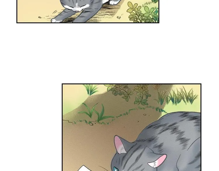 第13话 吸猫体质的大汉 第73页