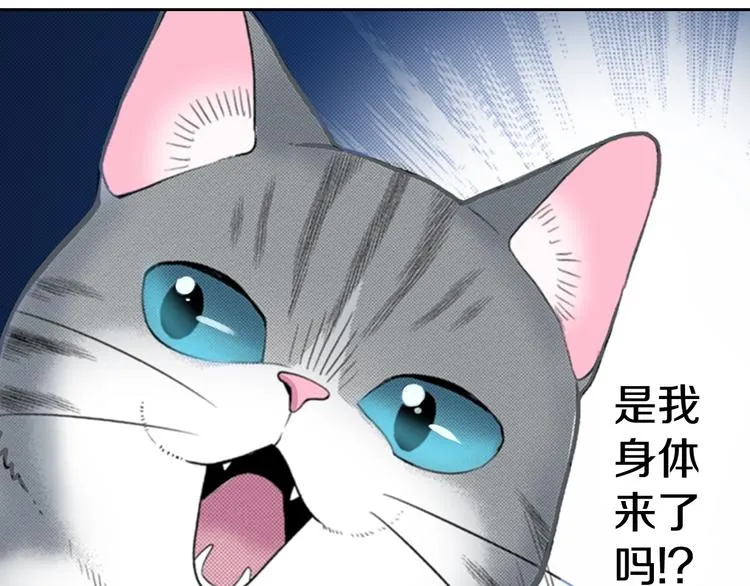 第13话 吸猫体质的大汉 第75页
