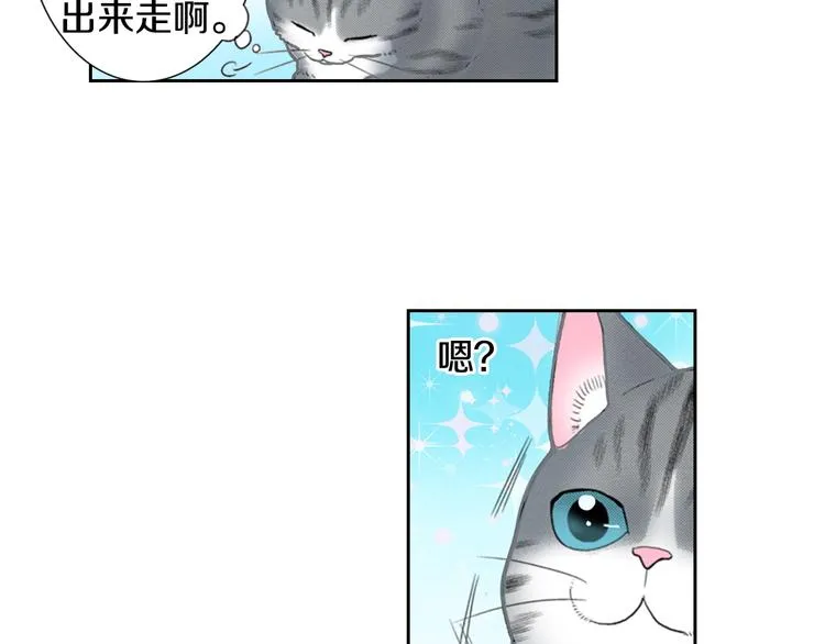第13话 吸猫体质的大汉 第80页