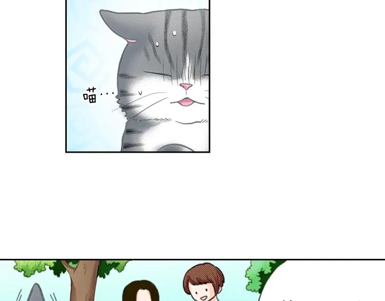 第13话 吸猫体质的大汉 第86页