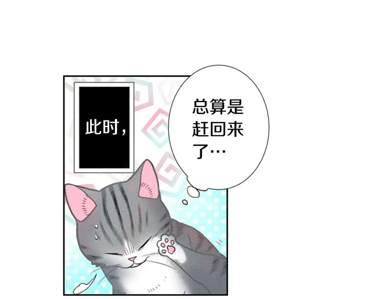 第13话 吸猫体质的大汉 第93页
