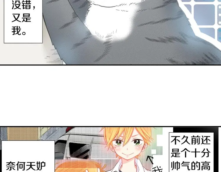 第12话 眉清目秀猫百科 第2页