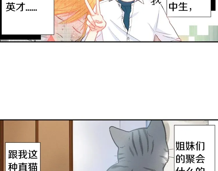 第12话 眉清目秀猫百科 第3页