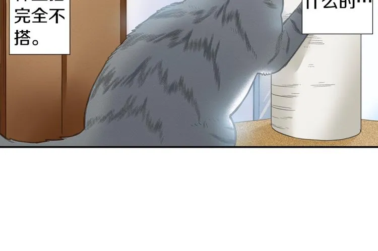 第12话 眉清目秀猫百科 第4页