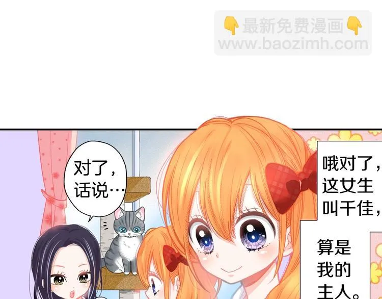 第12话 眉清目秀猫百科 第9页