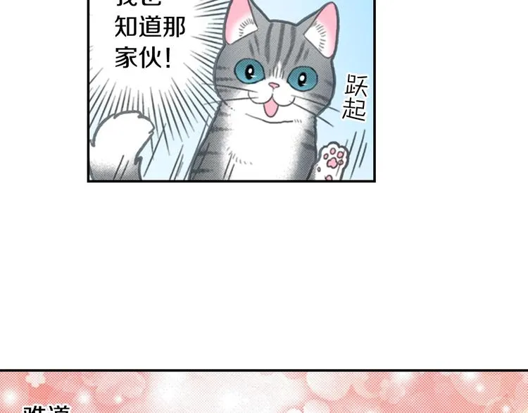 第12话 眉清目秀猫百科 第12页