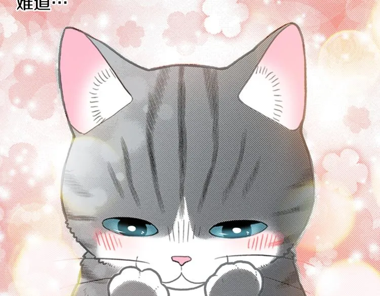 第12话 眉清目秀猫百科 第13页