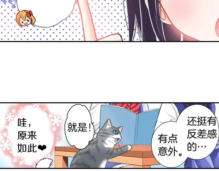 第12话 眉清目秀猫百科 第17页