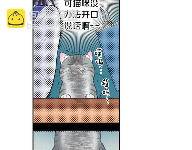 第12话 眉清目秀猫百科 第21页