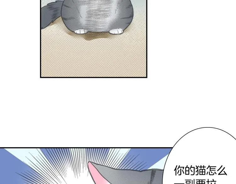 第12话 眉清目秀猫百科 第22页