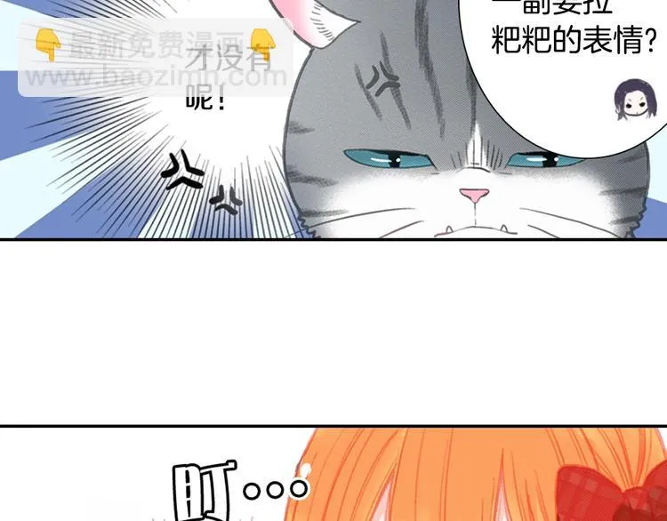 第12话 眉清目秀猫百科 第23页