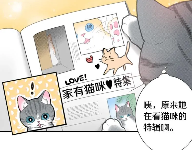第12话 眉清目秀猫百科 第28页