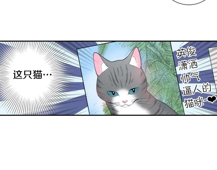 第12话 眉清目秀猫百科 第29页