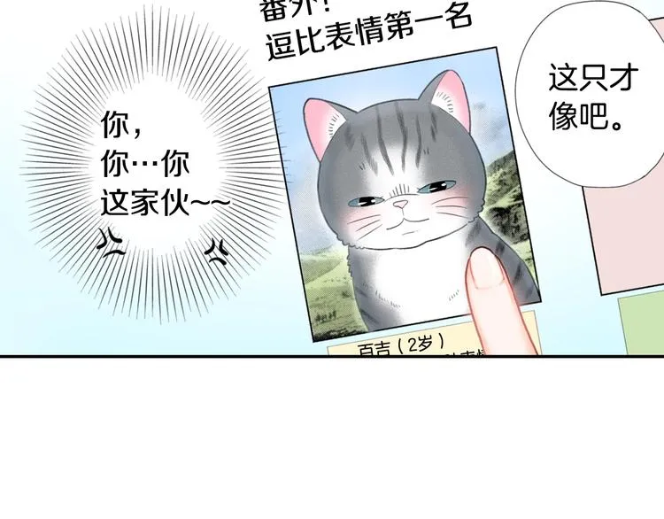 第12话 眉清目秀猫百科 第35页