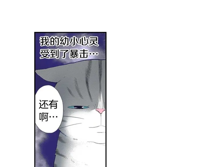 第12话 眉清目秀猫百科 第37页