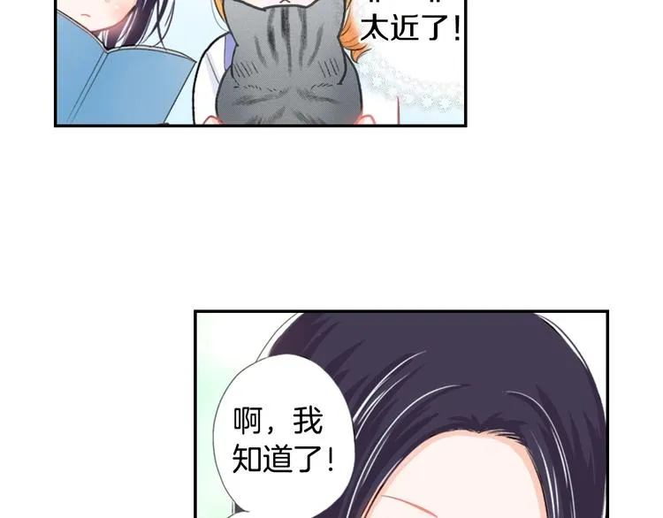第12话 眉清目秀猫百科 第44页