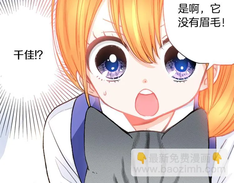 第12话 眉清目秀猫百科 第50页