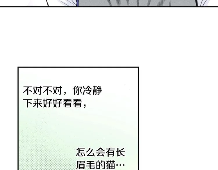 第12话 眉清目秀猫百科 第51页
