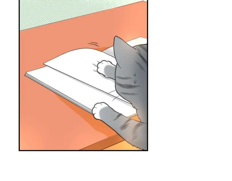 第12话 眉清目秀猫百科 第52页
