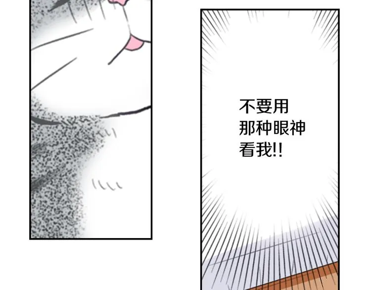 第12话 眉清目秀猫百科 第60页