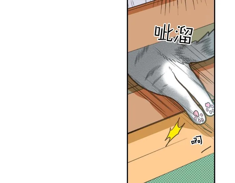 第12话 眉清目秀猫百科 第61页