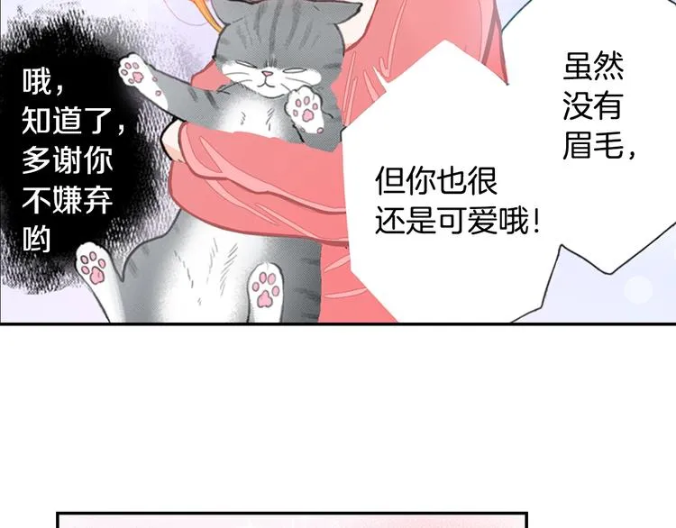 第12话 眉清目秀猫百科 第68页