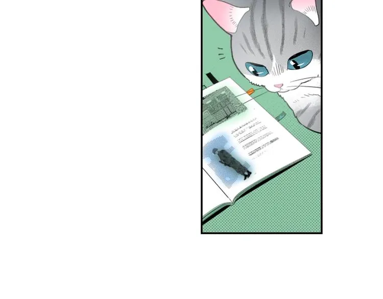第12话 眉清目秀猫百科 第70页