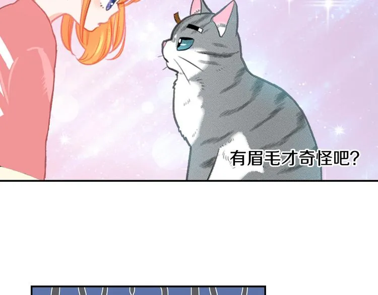 第12话 眉清目秀猫百科 第75页