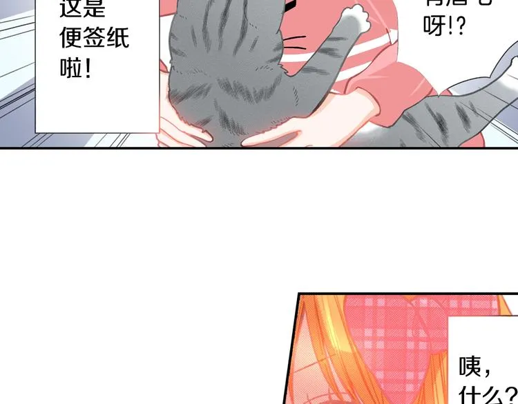 第12话 眉清目秀猫百科 第79页