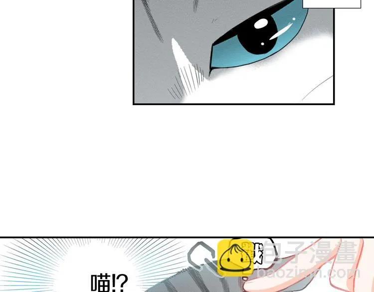 第12话 眉清目秀猫百科 第82页