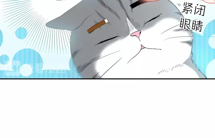 第12话 眉清目秀猫百科 第83页
