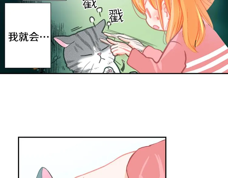 第12话 眉清目秀猫百科 第85页