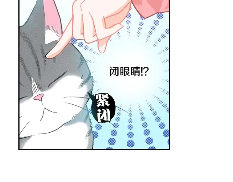 第12话 眉清目秀猫百科 第86页