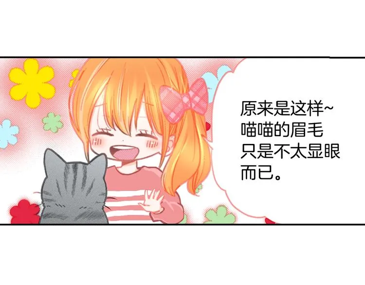 第12话 眉清目秀猫百科 第87页