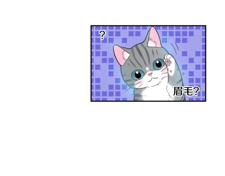 第12话 眉清目秀猫百科 第88页