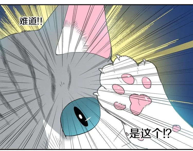 第12话 眉清目秀猫百科 第89页