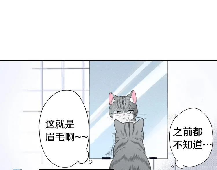 第12话 眉清目秀猫百科 第91页