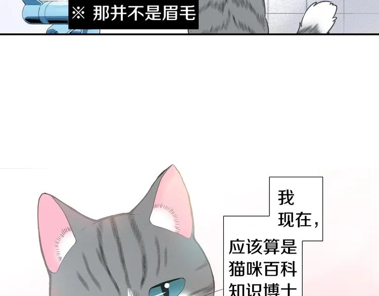 第12话 眉清目秀猫百科 第92页