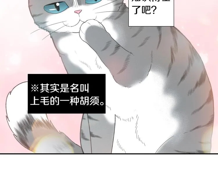第12话 眉清目秀猫百科 第93页