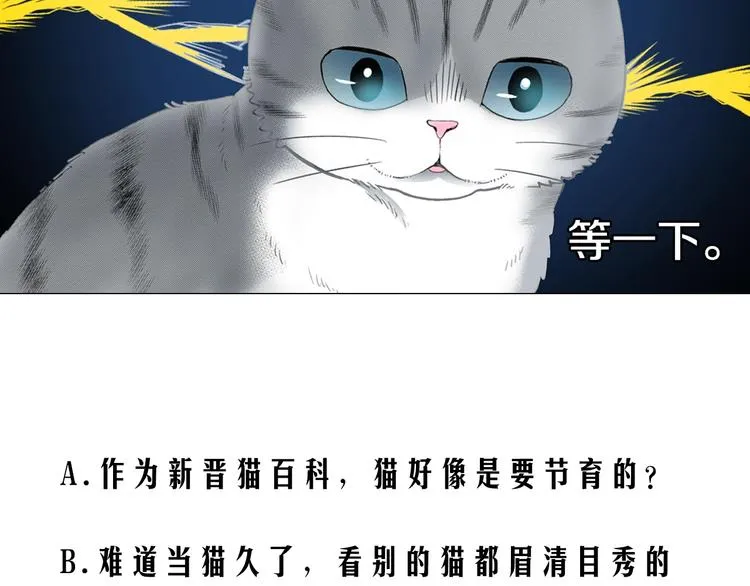 第12话 眉清目秀猫百科 第97页