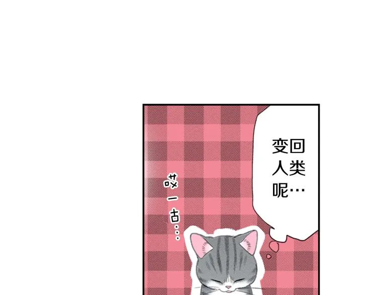 第11话 魔鬼料理 第47页