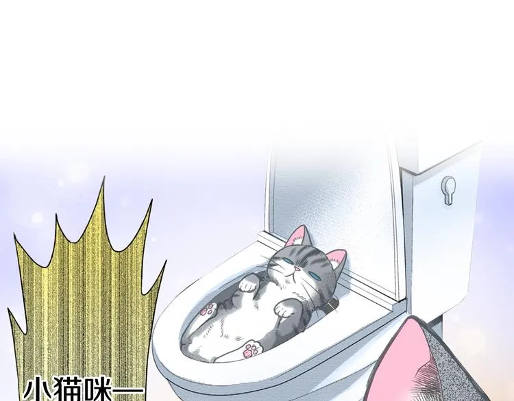 第6话 变猫男主的福利 第1页