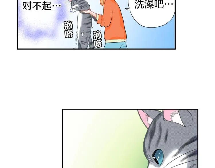 第6话 变猫男主的福利 第3页