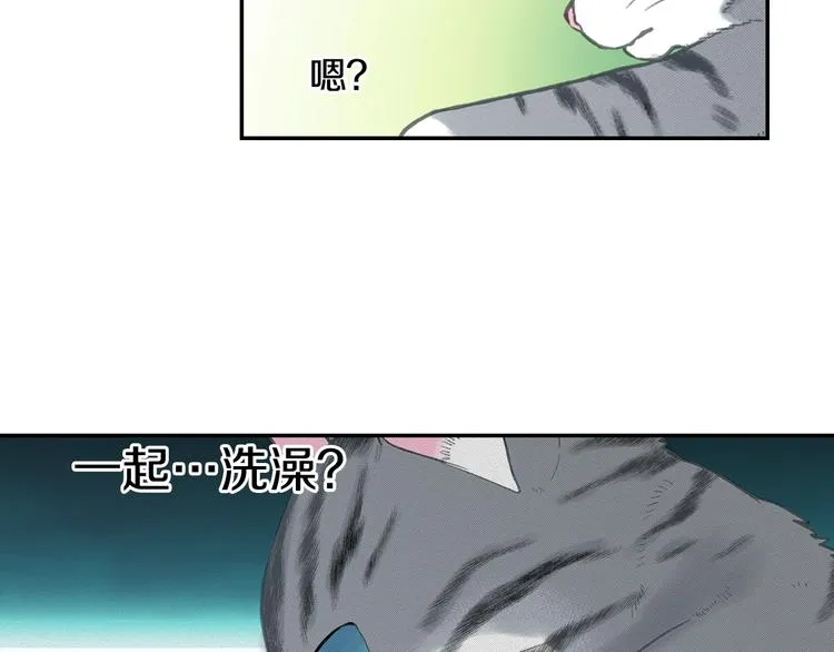 第6话 变猫男主的福利 第4页
