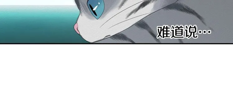第6话 变猫男主的福利 第5页